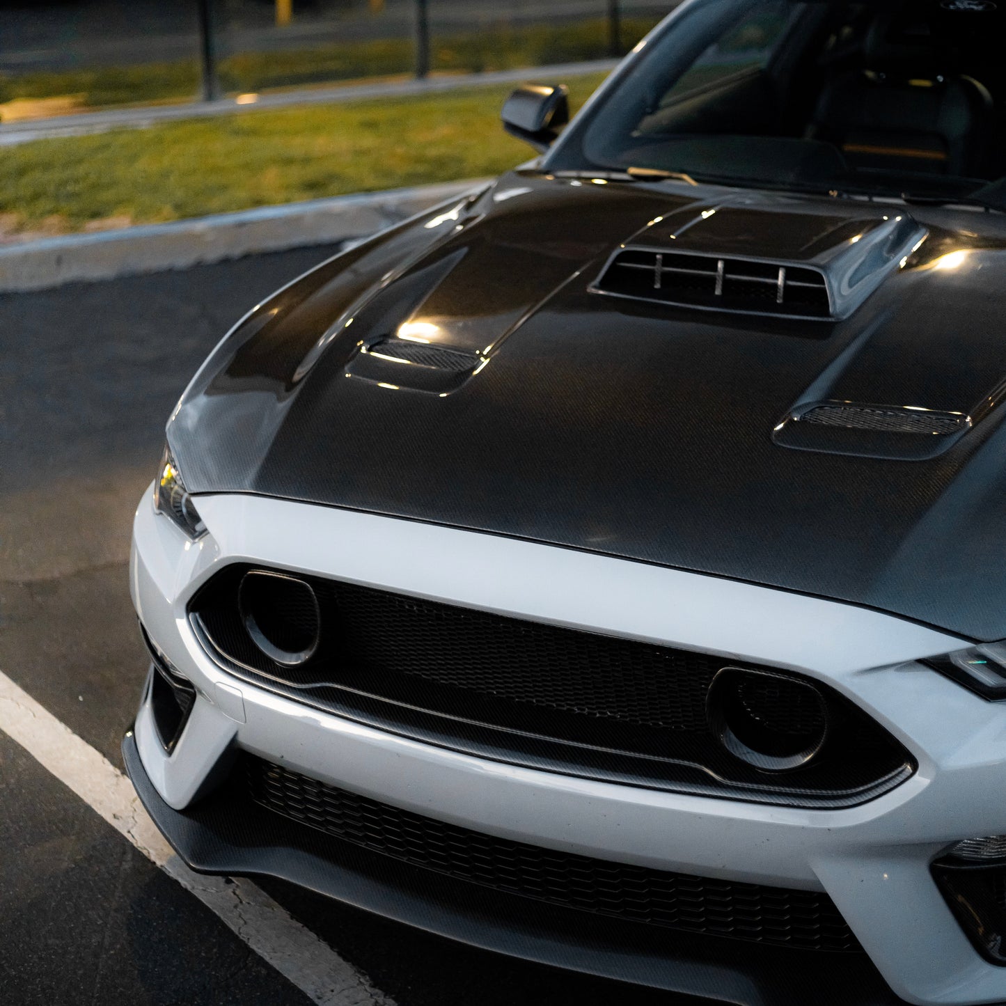 2021-2022 Ford Mustang MACH 1 Double Sided Type-OE Carbon Fiber Hood