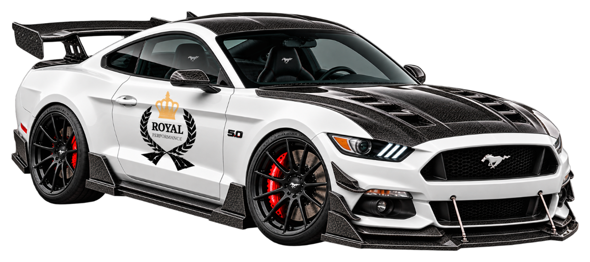 MUSTANG 15-17 carbon fiber parts by Royal Performance