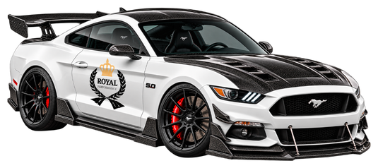 Ford Mustang 2015-2017 carbon fiber and aero parts
