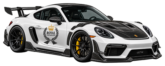 Porsche 718 Cayman GT4 carbon fiber and aero parts