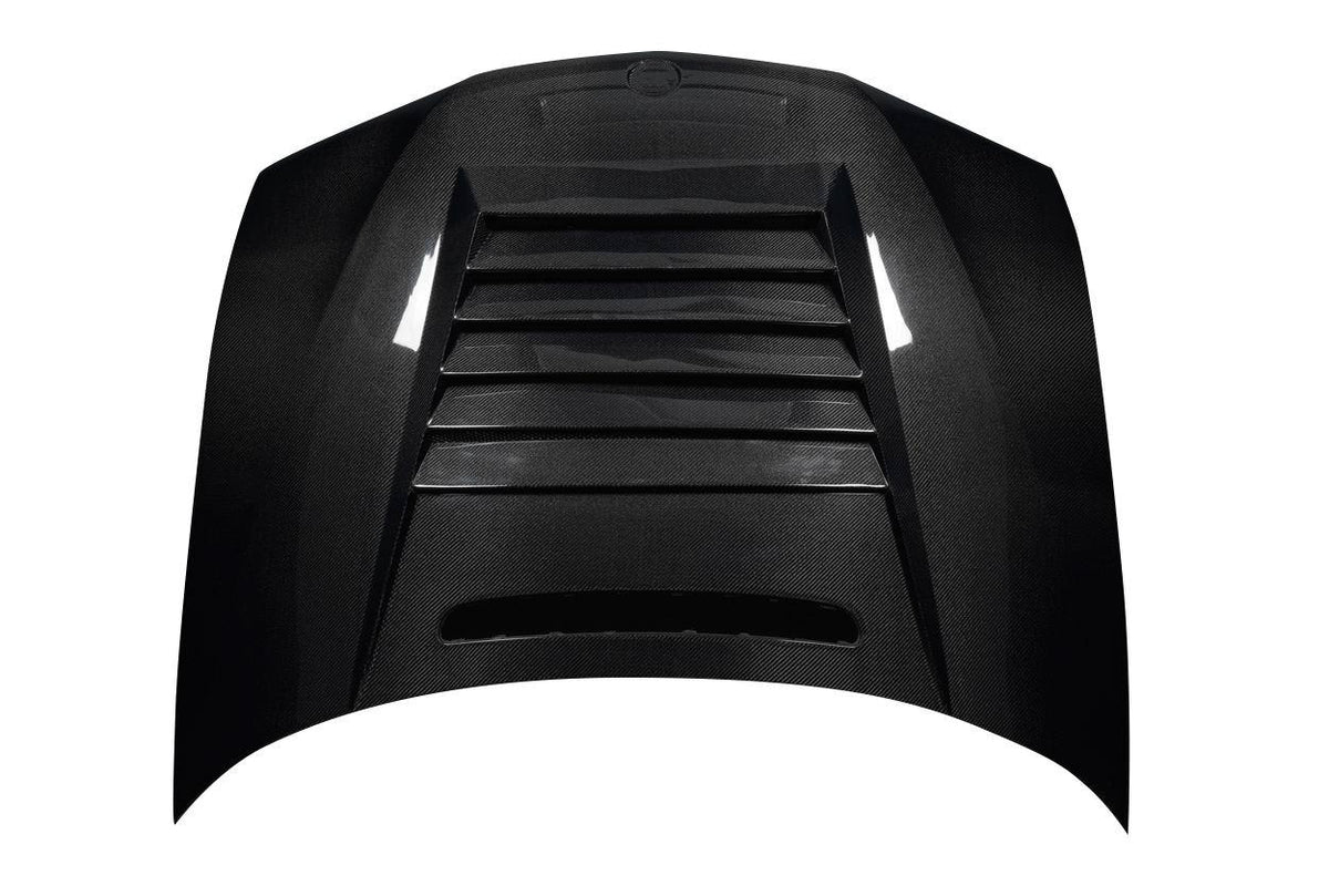 2002-2005 BMW 3 Series E46 4DR D-1 Hood, Carbon Fiber - view 6