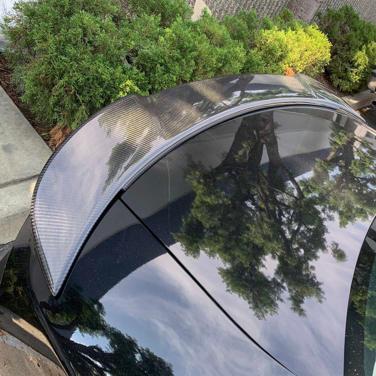 2015-2023 Dodge Charger Honeycomb Carbon SRT Style Rear Wing - view 5