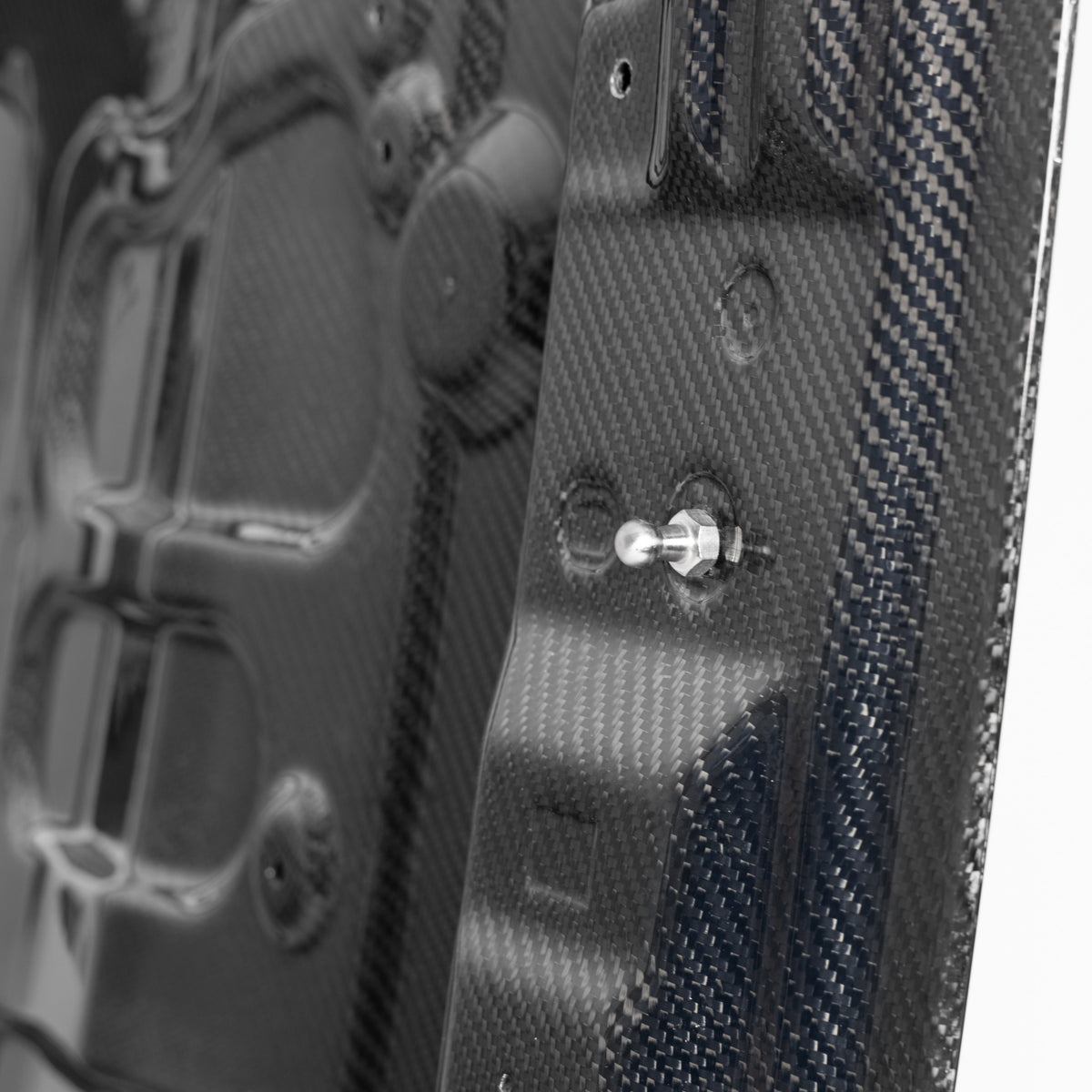 2024-2026 Mustang S650 Type-LM Carbon Fiber Double Sided Hood