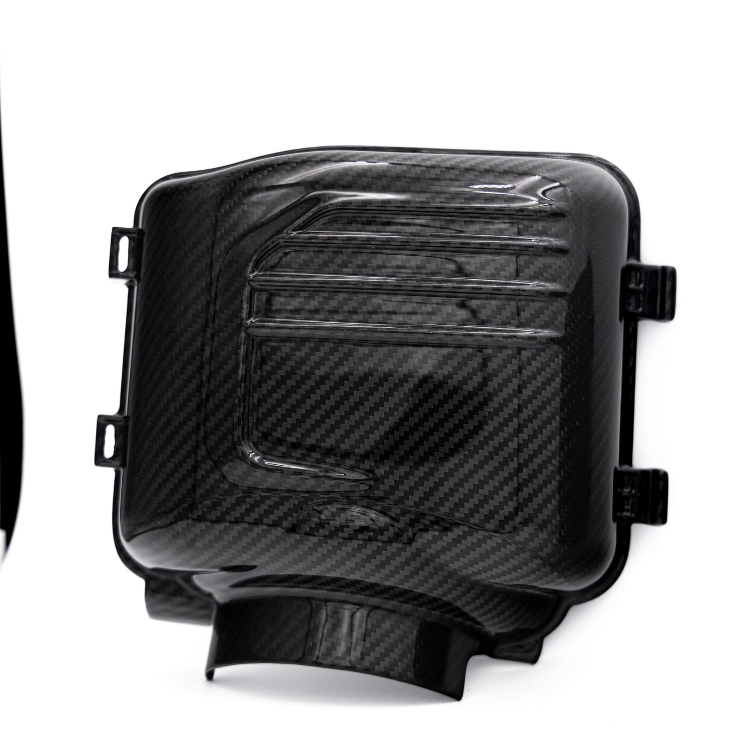 2024-2025 Ford Mustang S650 Carbon Fiber Intake Cover (Pair)