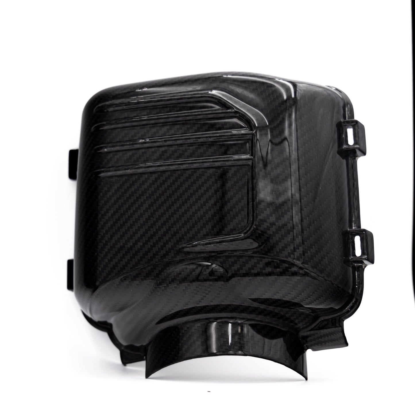 2024-2025 Ford Mustang S650 Carbon Fiber Intake Cover (Pair)