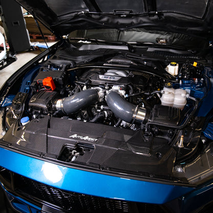 2024-2025 Ford Mustang S650 Carbon Fiber Intake Cover (Pair)