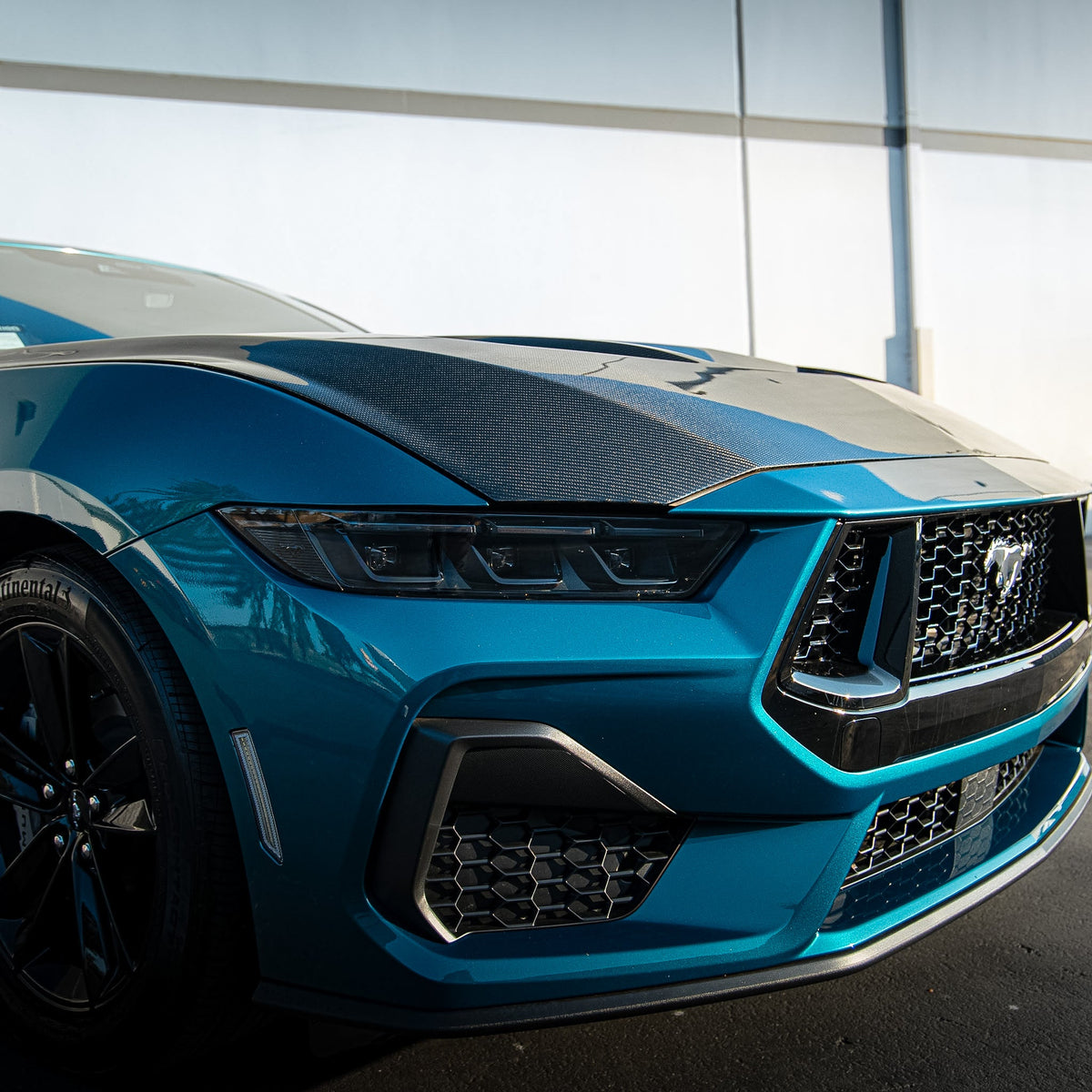 2024-2026 Mustang S650 Type-LM Carbon Fiber Double Sided Hood