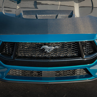 2024-2026 Mustang S650 Type-LM Carbon Fiber Double Sided Hood