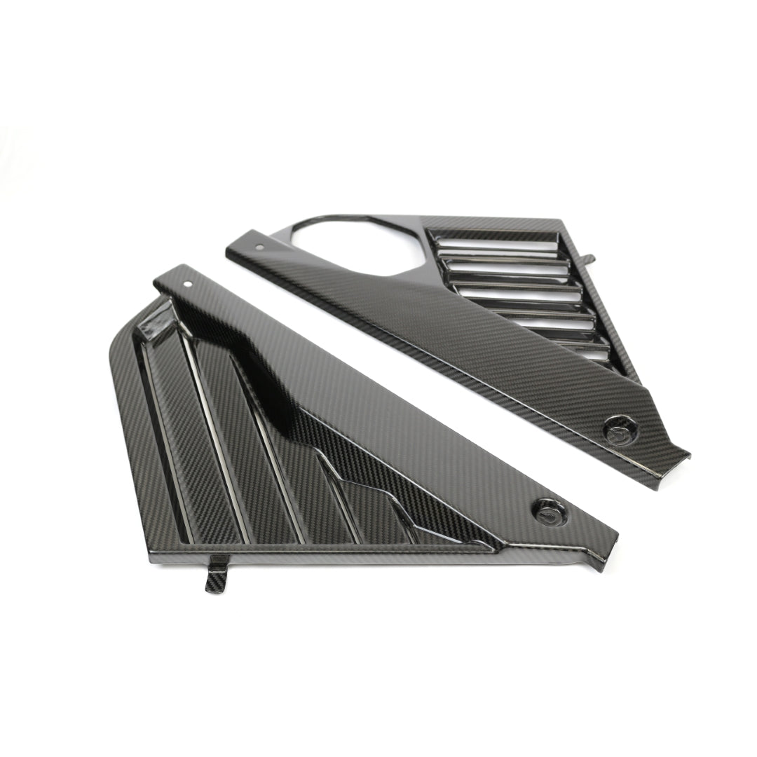 Carbon Fiber Engine Plenum Cover and Appearance Panels Package-Chevrolet C8 Corvette