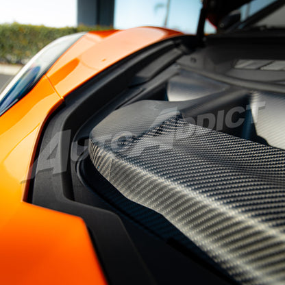 2025-2026 C8 ZR1/ZR1X ZTK Air Extractor Functional Dry Carbon Fiber Double Sided 3pcs Kit