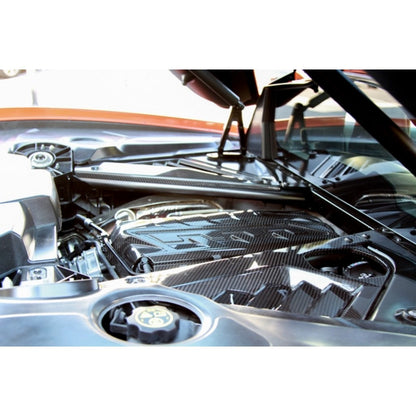 Carbon Fiber Engine Plenum Cover and Appearance Panels Package-Chevrolet C8 Corvette