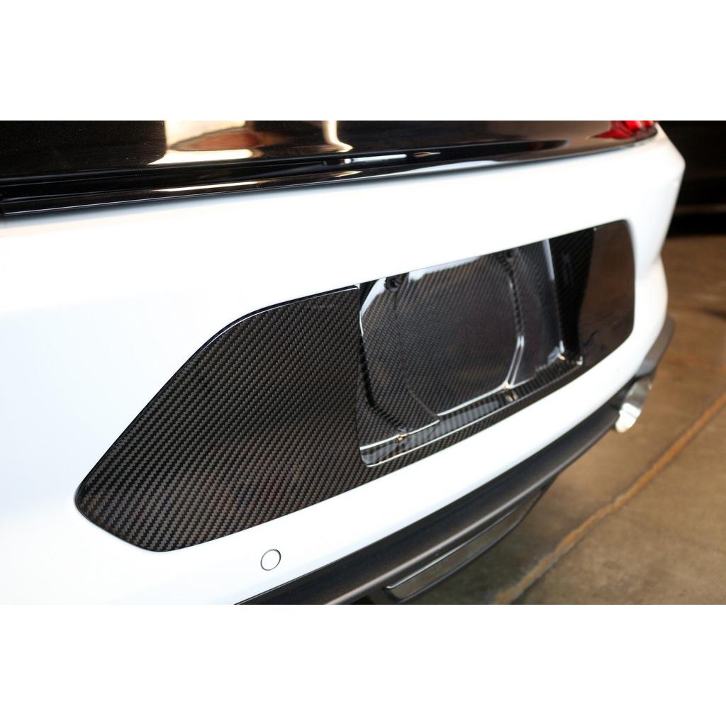 Carbon Fiber License Plate Backing-2018-2023 Ford Mustang