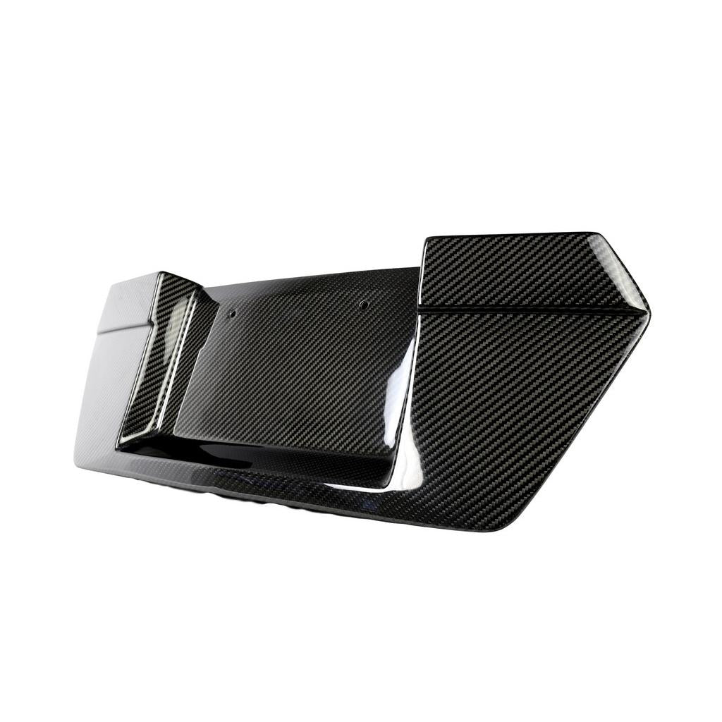 C8 Corvette Stingray APR Carbon Fiber License Plate Backing